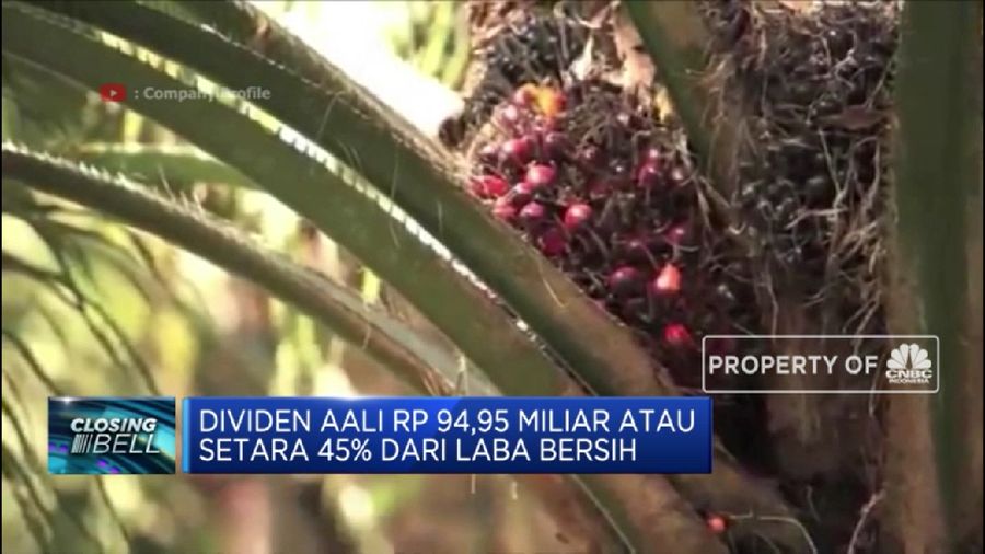 Dividen AALI Rp 94,95 Miliar Setara 45% dari Laba Bersih