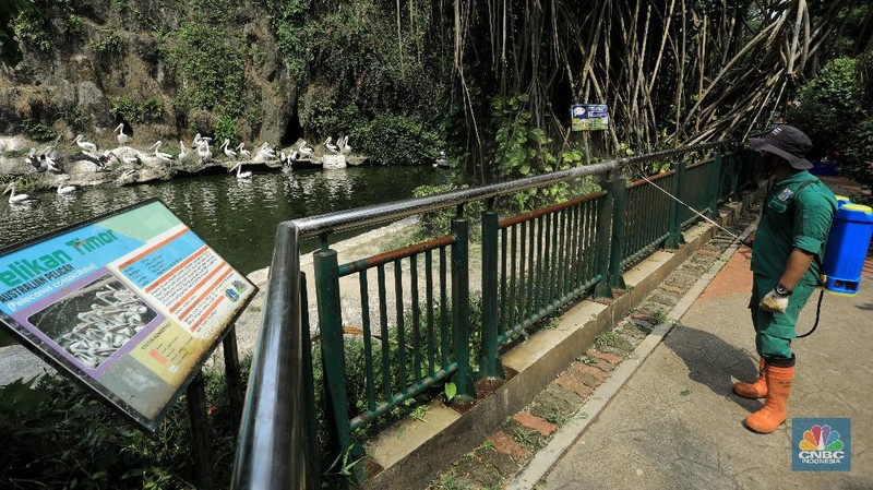Jelang Dibuka, TMR Ragunan Bersiap New Normal (CNBC Indonesia/Andrean Kristianto)