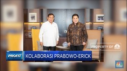 Kolaborasi Prabowo-Erick Revitalisasi BUMN Produksi Alutsista