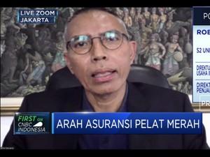 Menakar Arah Pengelolaan Holding Asuransi,Ini Penjelasan BPUI