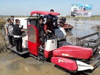 Mentan SYL Panen Padi dan Percepat Tanam di Cilacap