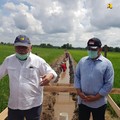 Lumbung Pangan RI: dari Orde Baru, Dilanjutkan SBY & Jokowi