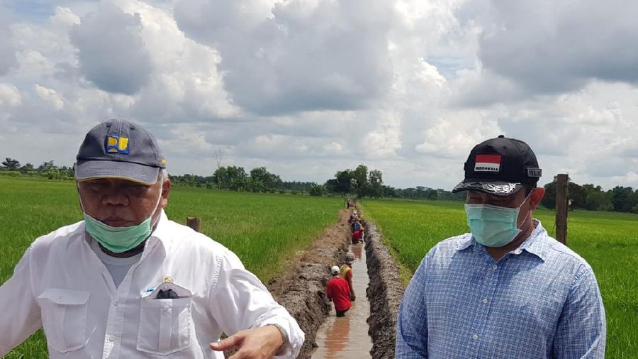 Menteri Basuki Tinjau Rehabilitasi Jaringan Irigasi Lahan Potensial Lumbung Pangan Baru di Kalimantan Tengah. (Dokumentasi PUPR)