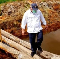 Ada Lahan Ilegal Proyek Lumbung Pangan yang Digarap Prabowo?
