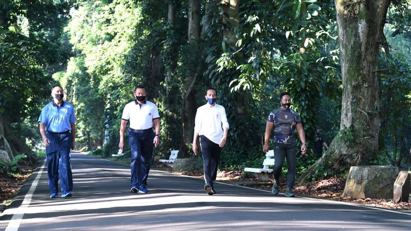 Presiden Jokowi Berolahraga Pagi Bersama para Kepala Staf TNI di Istana Bogor. (Lukas - Biro Pers Sekretariat Presiden)