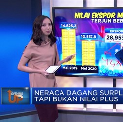 Neraca Dagang Surplus Tapi Bukan Nilai Plus