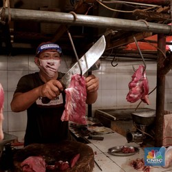 Waduh! Ribuan Pedagang Daging Sapi Gulung Tikar, Kenapa?