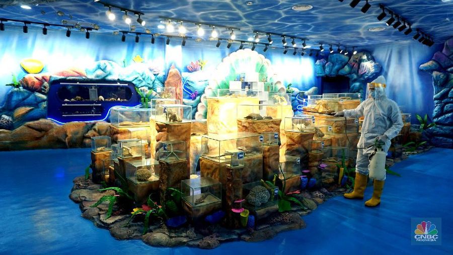 Suasana Seaworld Ancol disemprotkan disinfektan untuk pencegahan COVID-19, Rencananya tempat wisata ini akan dibuka kembali pada Sabtu 20 Juni 2020, mendatang, 15/6/20. CNBC Indonesia/Tri Susilo

Kawasan DKI Jakarta telah memasuki masa transisi Pembatasan Sosial Berskala Besar (PSBB).

Pemprov DKI Jakarta mulai mengizinkan beberapa sektor pariwisata untuk kembali dibuka.

Sejalan dengan hal tersebut, Taman Impian Jaya Ancol kini tengah bersiap untuk beroperasi kembali dalam tatanan normal baru.  

Dengan dibukanya kawasan wisata tersebut, para wisatawan tentu bisa mengunjungi berbagai destinasi di dalamnya, satu di antaranya adalah Seaworld Ancol.

 
Seawrold Ancol bisa menjadi pilihan yang tepat untuk menghabiskan momen liburan akhir pekan bersama keluarga.  

Tentunya para pengunjung harus tetap menerapkan protokol kesehatan yang telah ditetapkan.

Saat beroperasi kembali, Seaworld Ancol akan buka mulai pukul 09.00 hingga 17.00 WIB. (CNBC Indonesia/ Tri Susilo)