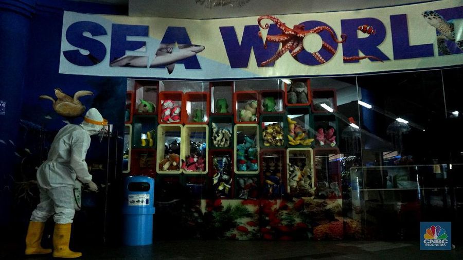 Suasana Seaworld Ancol disemprotkan disinfektan untuk pencegahan COVID-19, Rencananya tempat wisata ini akan dibuka kembali pada Sabtu 20 Juni 2020, mendatang, 15/6/20. CNBC Indonesia/Tri Susilo
Kawasan DKI Jakarta telah memasuki masa transisi Pembatasan Sosial Berskala Besar (PSBB).
Pemprov DKI Jakarta mulai mengizinkan beberapa sektor pariwisata untuk kembali dibuka.
Sejalan dengan hal tersebut, Taman Impian Jaya Ancol kini tengah bersiap untuk beroperasi kembali dalam tatanan normal baru.
Dengan dibukanya kawasan wisata tersebut, para wisatawan tentu bisa mengunjungi berbagai destinasi di dalamnya, satu di antaranya adalah Seaworld Ancol.
Seawrold Ancol bisa menjadi pilihan yang tepat untuk menghabiskan momen liburan akhir pekan bersama keluarga.
Tentunya para pengunjung harus tetap menerapkan protokol kesehatan yang telah ditetapkan.
Saat beroperasi kembali, Seaworld Ancol akan buka mulai pukul 09.00 hingga 17.00 WIB. (CNBC Indonesia/ Tri Susilo)