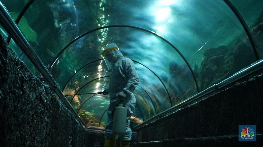 Suasana Seaworld Ancol disemprotkan disinfektan untuk pencegahan COVID-19, Rencananya tempat wisata ini akan dibuka kembali pada Sabtu 20 Juni 2020, mendatang, 15/6/20. CNBC Indonesia/Tri Susilo

Kawasan DKI Jakarta telah memasuki masa transisi Pembatasan Sosial Berskala Besar (PSBB).

Pemprov DKI Jakarta mulai mengizinkan beberapa sektor pariwisata untuk kembali dibuka.

Sejalan dengan hal tersebut, Taman Impian Jaya Ancol kini tengah bersiap untuk beroperasi kembali dalam tatanan normal baru.  

Dengan dibukanya kawasan wisata tersebut, para wisatawan tentu bisa mengunjungi berbagai destinasi di dalamnya, satu di antaranya adalah Seaworld Ancol.

 
Seawrold Ancol bisa menjadi pilihan yang tepat untuk menghabiskan momen liburan akhir pekan bersama keluarga.  

Tentunya para pengunjung harus tetap menerapkan protokol kesehatan yang telah ditetapkan.

Saat beroperasi kembali, Seaworld Ancol akan buka mulai pukul 09.00 hingga 17.00 WIB. (CNBC Indonesia/ Tri Susilo)
