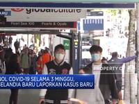 Tercatat Nol Kasus Corona, Selandia Baru Laporkan Pasien Lagi