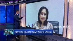 Perluas Pasar Domestik, Strategi GAPKI Saat Pandemi