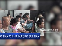 500 TKA China Masuk Sulawesi Tenggara