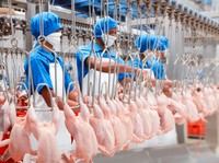 Petinggi Humpuss Jadi Komisaris Sierad, Begini Kinerja SIPD