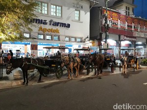 Nasib Kuda Andong Usai Lepas Kendali gegara Suara Knalpot di Malioboro