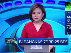 Ari Kuncoro: Penurunan BI7DRR Untuk Dorong Supply & Demand
