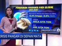 Krisis Pangan di Depan Mata