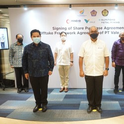 Freeport Sampai Vale, 2 Tambang Raksasa Asing di Tangan RI!