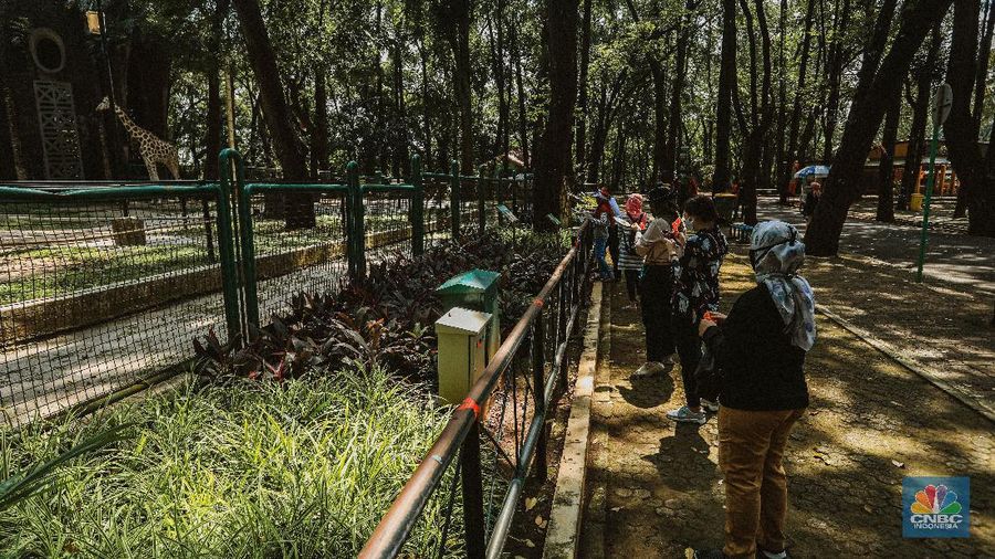 Taman Margasatwa Ragunan usai penutupan, Sabtu (20/6/2020). (CNBC Indonesia/ Andrean Kristianto)