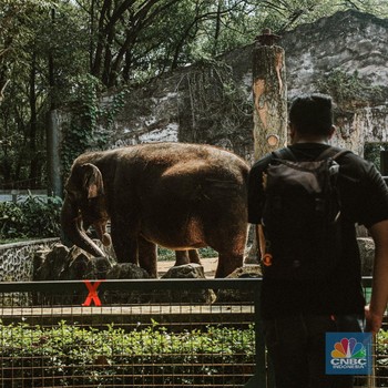 Kebun Binatang Ragunan Dibuka Kembali, Masih Sepih Banget..
