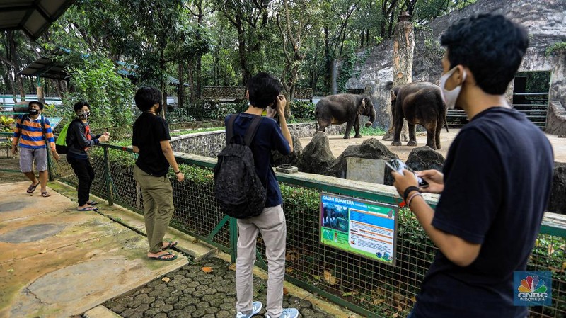 Taman Margasatwa Ragunan usai penutupan, Sabtu (20/6/2020). (CNBC Indonesia/ Andrean Kristianto)
