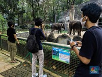 Ada Kasus Corona Baru, Tempat Wisata Langsung Ditutup