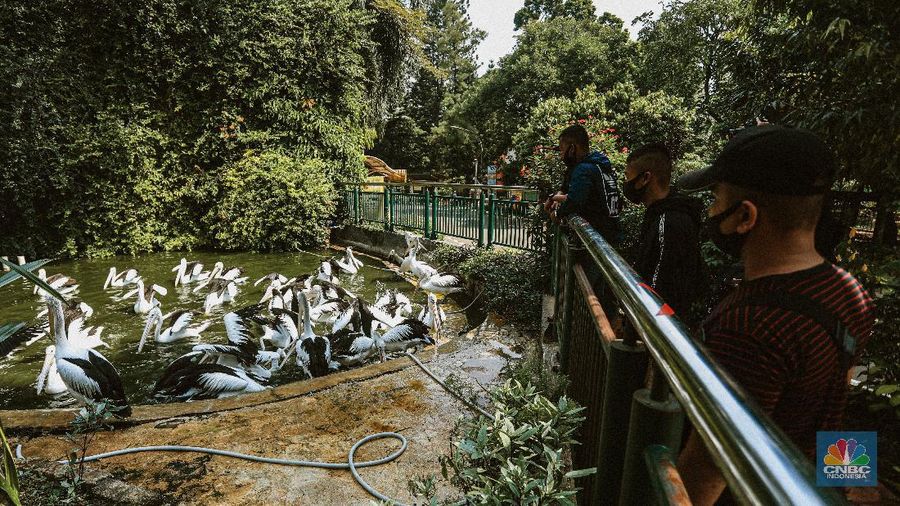 Taman Margasatwa Ragunan usai penutupan, Sabtu (20/6/2020). (CNBC Indonesia/ Andrean Kristianto)