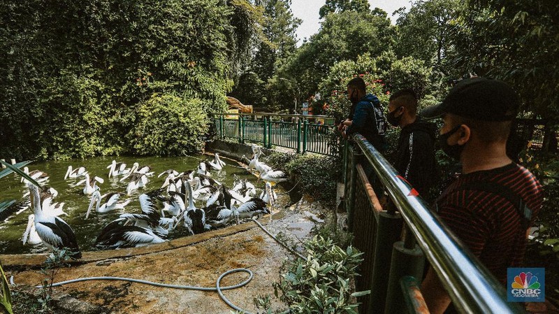 Taman Margasatwa Ragunan usai penutupan, Sabtu (20/6/2020). (CNBC Indonesia/ Andrean Kristianto)