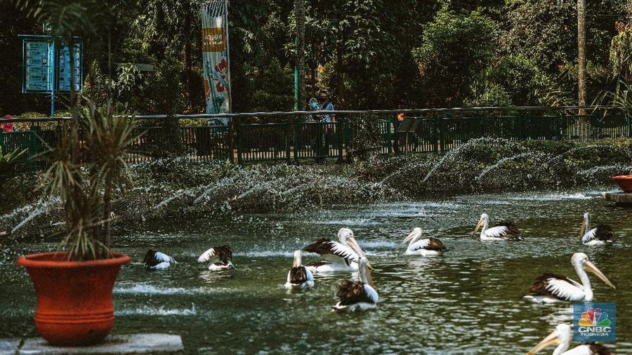 Taman Margasatwa Ragunan usai penutupan, Sabtu (20/6/2020). (CNBC Indonesia/ Andrean Kristianto)