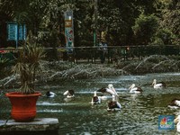 Long Weekend, Ini Deretan Wisata Murah Meriah di Jakarta