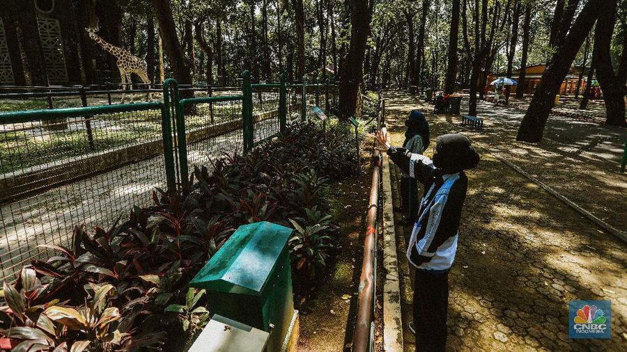 Taman Margasatwa Ragunan usai penutupan, Sabtu (20/6/2020). (CNBC Indonesia/ Andrean Kristianto)