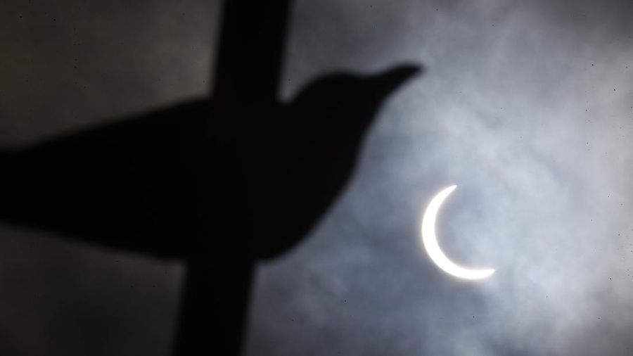 A crows sits on a pole as the sun forms crescent during solar eclipse in Kathmandu, Nepal, Sunday, June 21, 2020. (AP Photo/Niranjan Shrestha)