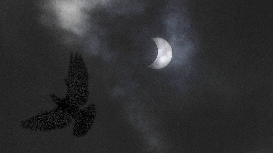 A man tries to take photos as a solar eclipse is seen over the sky in Chiayi City, southwest of Taiwan, Sunday, June 21, 2020. (AP Photo/Chiang Ying-ying)