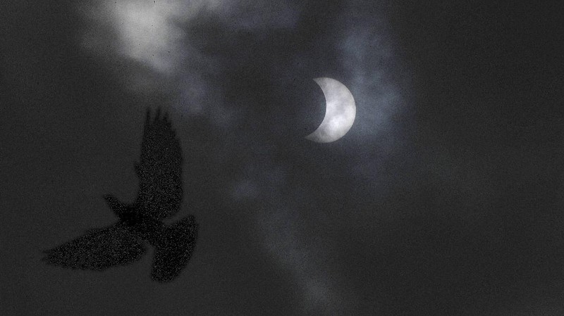 A man tries to take photos as a solar eclipse is seen over the sky in Chiayi City, southwest of Taiwan, Sunday, June 21, 2020. (AP Photo/Chiang Ying-ying)