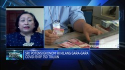 Sri Adiningsih: Ekonomi RI Kehilangan Rp 750 T Akibat Pandemi