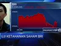 Uji Ketahanan BBRI di Tengah Pelemahan Pertumbuhan Kredit