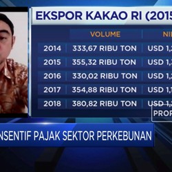 Saat Pandemi, Askindo: Kinerja Industri Kakao Turun 10%