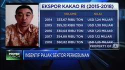 Saat Pandemi, Askindo: Kinerja Industri Kakao Turun 10%