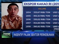 Saat Pandemi, Askindo: Kinerja Industri Kakao Turun 10%