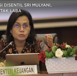 7 BUMN Rugi Disentil Sri Mulyani, 2 Sudah Cetak Laba
