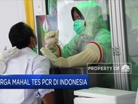 Harga Mahal Tes PCR di Indonesia