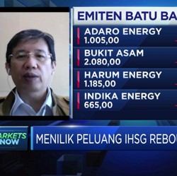 Prospek Saham Batu Bara di Tengah Fluktuasi Harga Komoditas