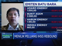 Prospek Saham Batu Bara di Tengah Fluktuasi Harga Komoditas