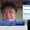 PSBB, Bisnis Hidroponik Raih Kenaikan Penjualan 2 Kali Lipat