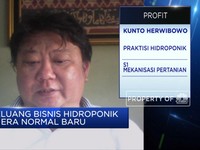 PSBB, Bisnis Hidroponik Raih Kenaikan Penjualan 2 Kali Lipat