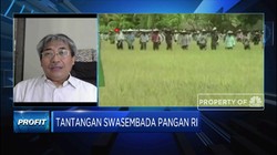 Guru Besar Unila: Stabilisasi Harga Dorong Swasembada Pangan