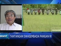 Guru Besar Unila: Stabilisasi Harga Dorong Swasembada Pangan