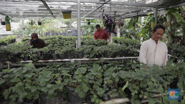 Buka Usaha di Desa atau Kota, Mana Lebih Untung untuk Berbisnis?