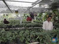 Buka Usaha di Desa atau Kota, Mana Lebih Untung untuk Berbisnis?