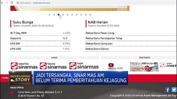 Jadi Tersangka, Ini Penjelasan Sinarmas AM
